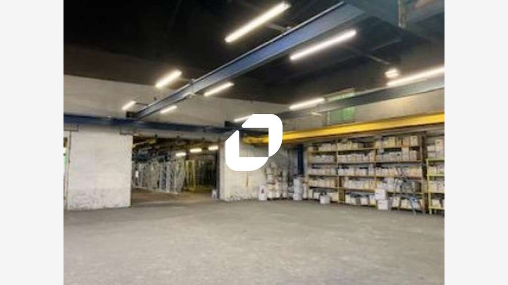 A louer Local d'activité 1480m² Fleurieu sur saone