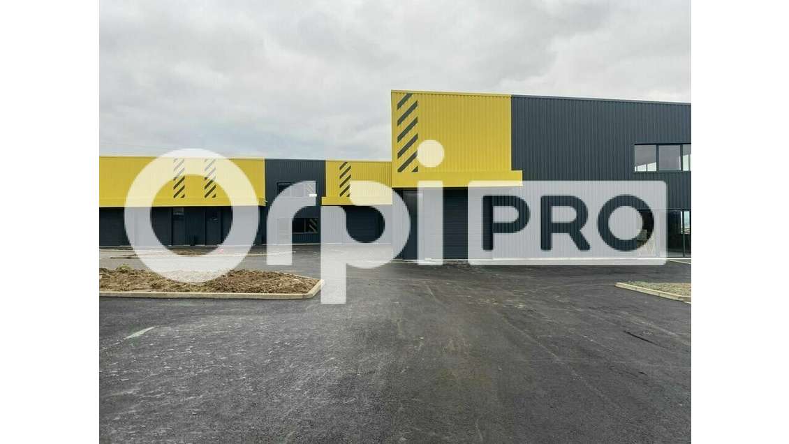 A louer local 600m² à Frans proche Villefranche