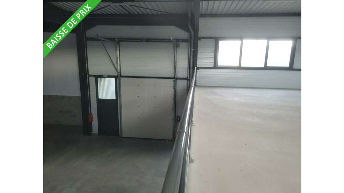 A louer entrepôt 538m² neuf avec mezzanine à Frans