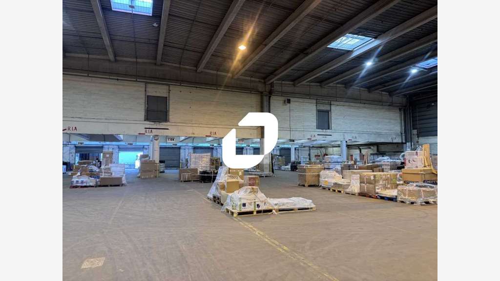 A louer Local d'activité 5378m² Fretin