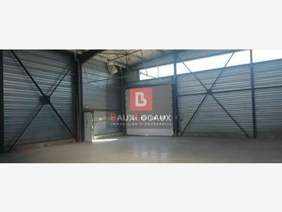 A louer local d'activité 238m² site clos à Garons