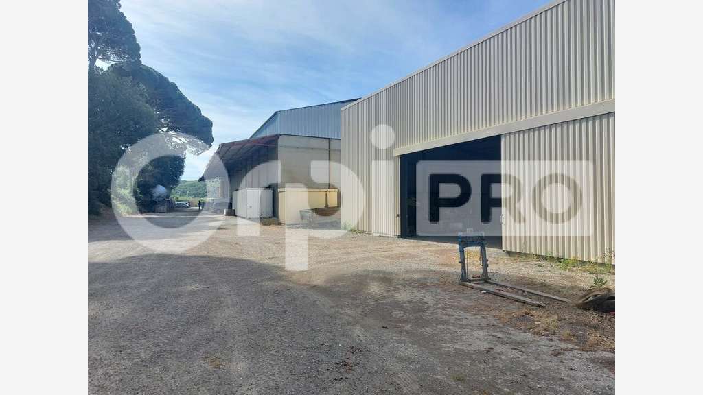 Hangar neuf 500m² à louer Gréoux-les-Bains A51