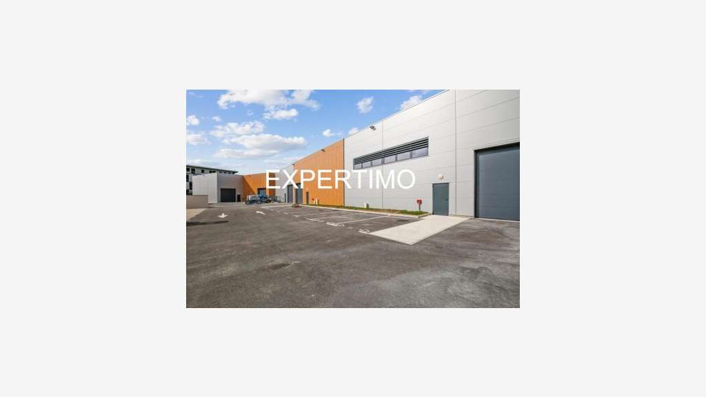 Loue 3 cellules d'activité 300 à 1 317m² Grigny