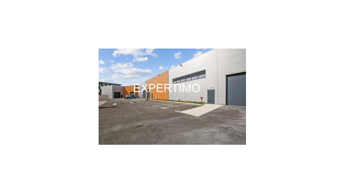 Loue 3 cellules d'activité 300 à 1 317m² Grigny