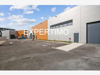 Loue 3 cellules d'activité 300 à 1 317m² Grigny
