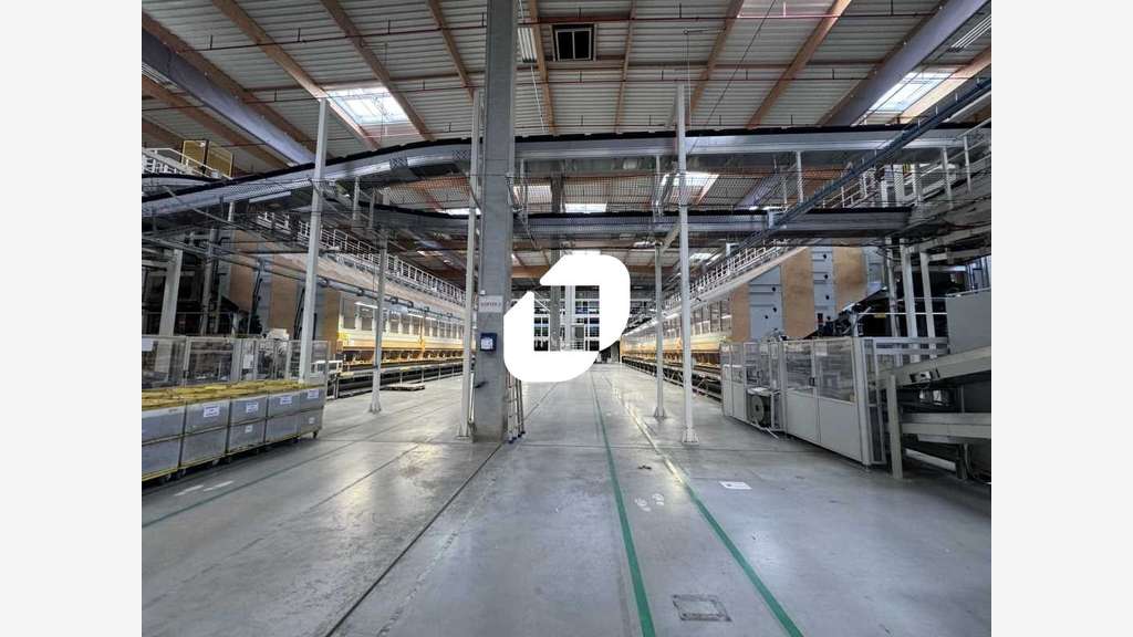 A louer Local d'activité 40440m² Hem