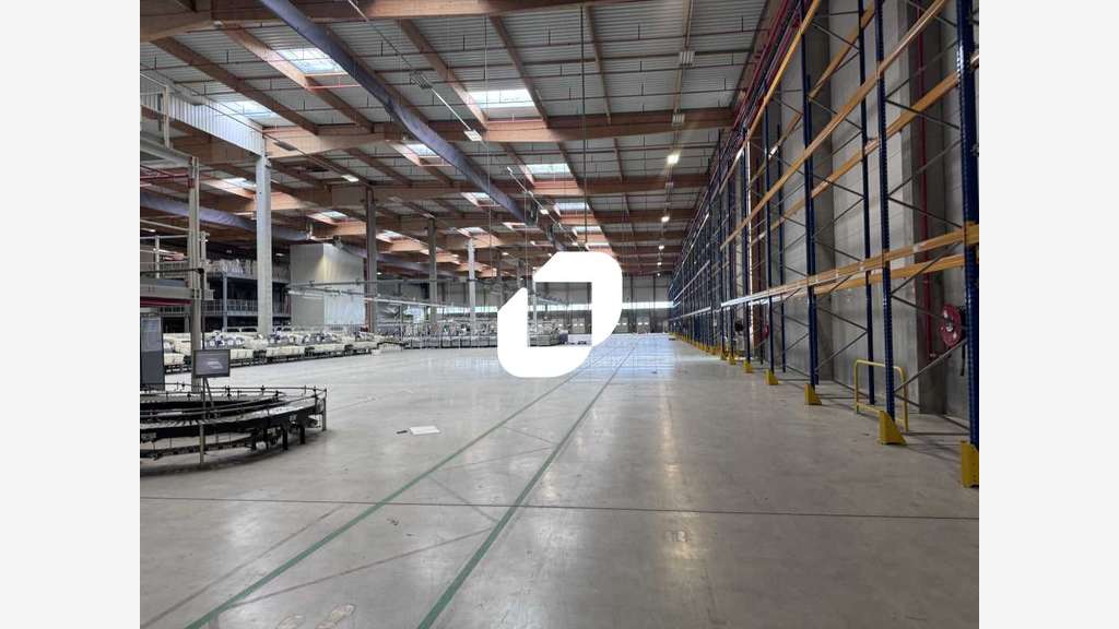 A louer Local d'activité 40440m² Hem
