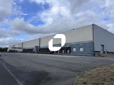A louer Local d'activité 40440m² Hem