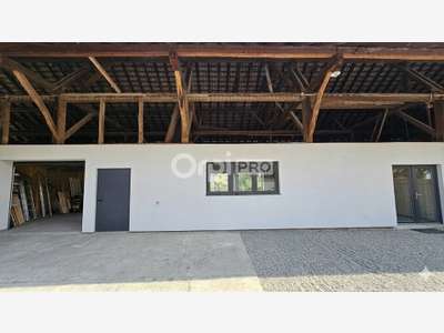 Ensemble immobilier à louer 240m² Horbourg-Wihr
