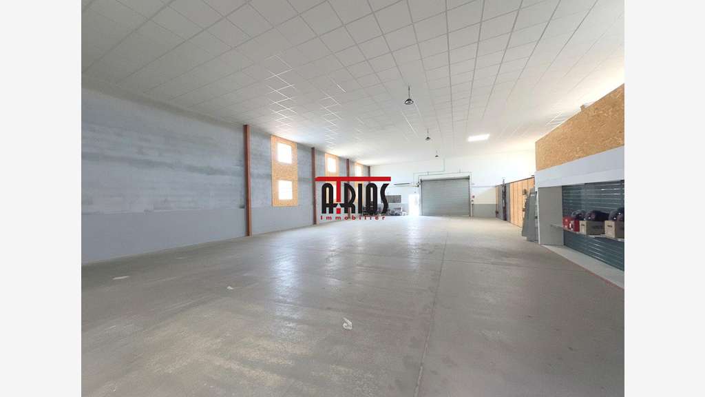 LOCAL D'ACTIVITÉ 450 M²