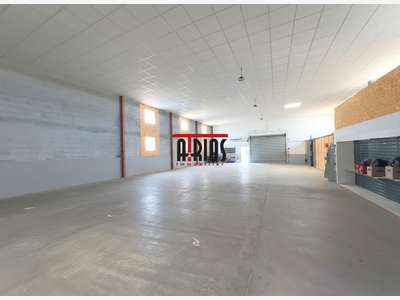 LOCAL D'ACTIVITÉ 450 M²