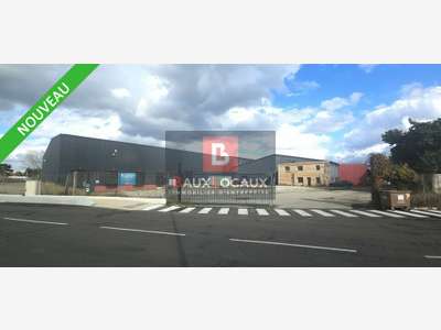 Entrepôt 4789m² à louer ZA L'Isle-sur-la-Sorgue
