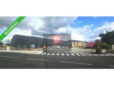 Location Locaux d'activités - Entrepôts à L'Isle-sur-la-Sorgue