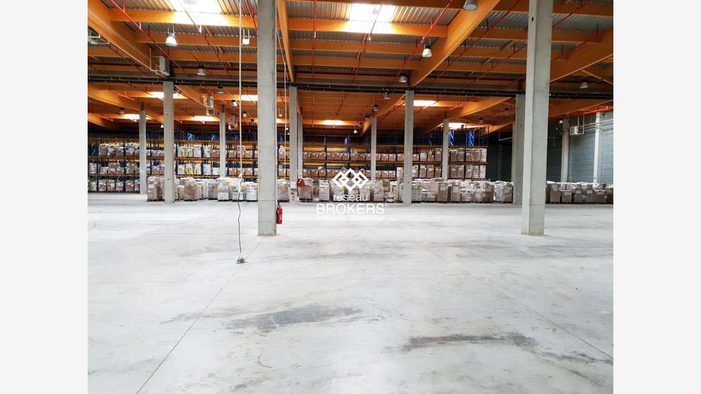 A louer entrepôt logistique 6000m² secteur Millau 