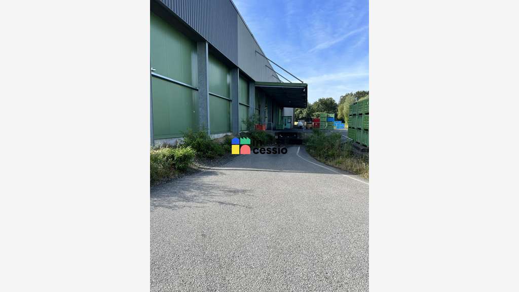 Beau site activité logistique froid positif 6500m²
