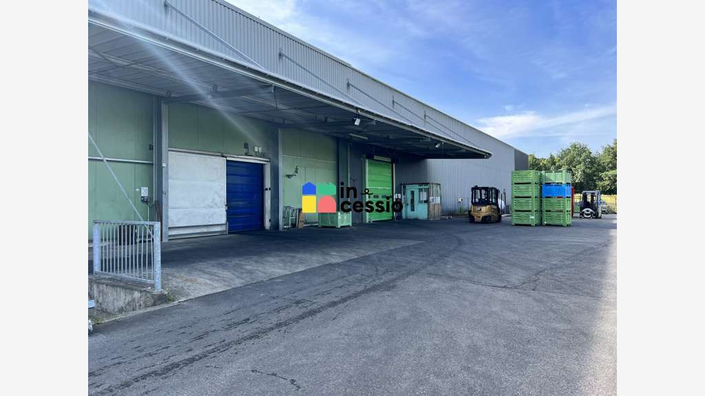 Beau site activité logistique froid positif 6500m²
