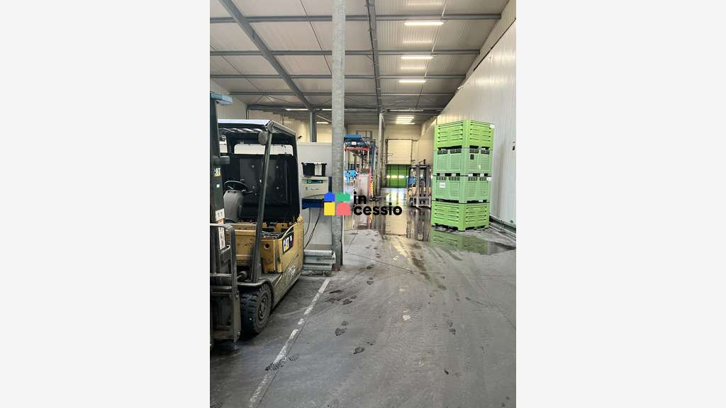 Beau site activité logistique froid positif 6500m²