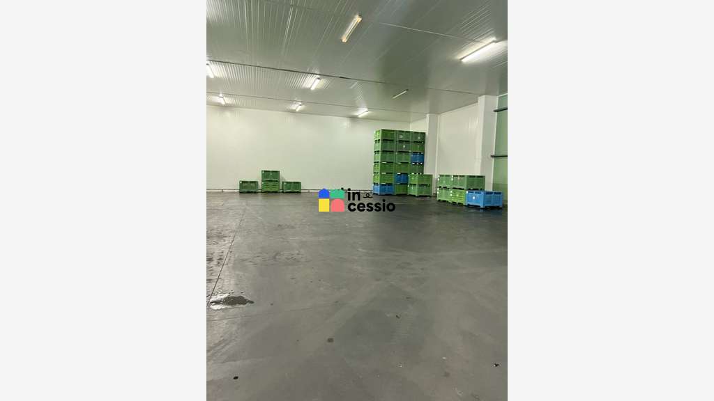 Beau site activité logistique froid positif 6500m²
