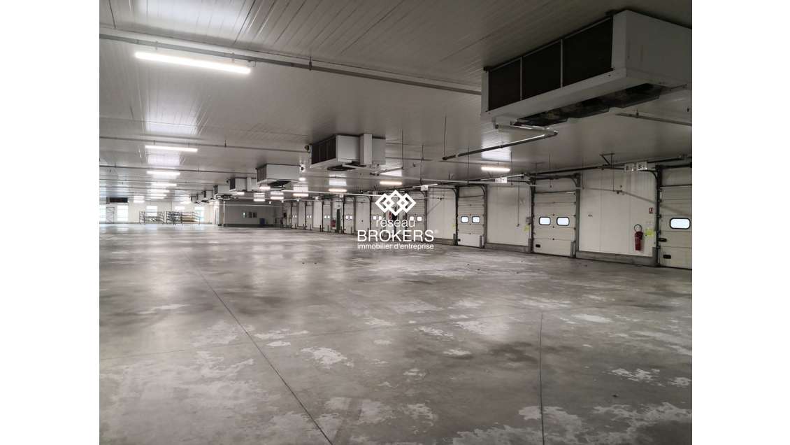 A louer entrepôt froid 5166m² à La Crèche