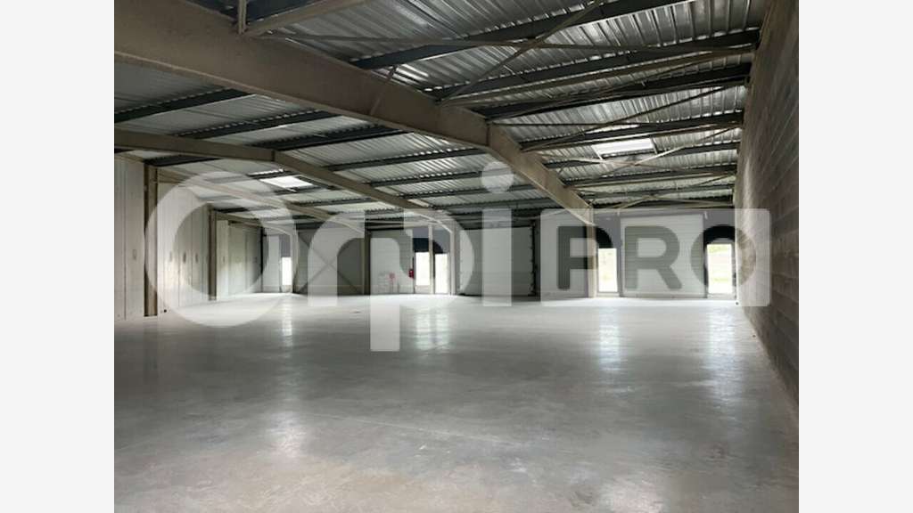 Atelier neuf de 499m² à louer à La Rochelle ZFU