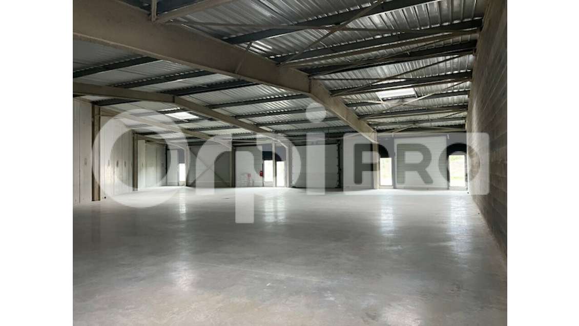 Atelier neuf de 499m² à louer à La Rochelle ZFU