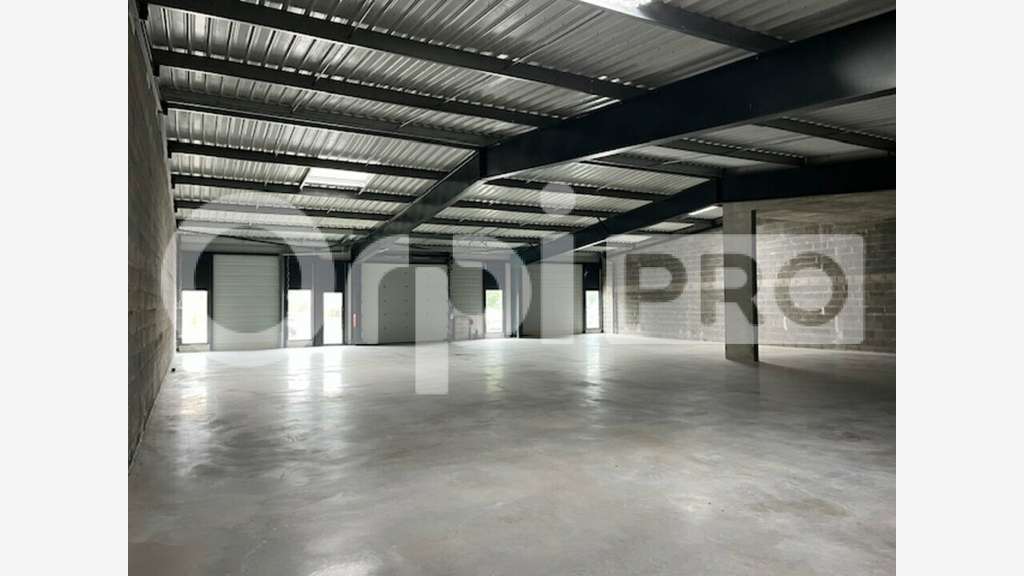 Entrepôt neuf 511m² à louer Pont Île de Ré