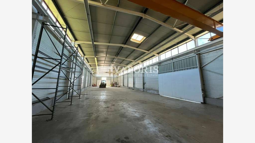 A louer local d'activité 589m² ZI de Sardenas 