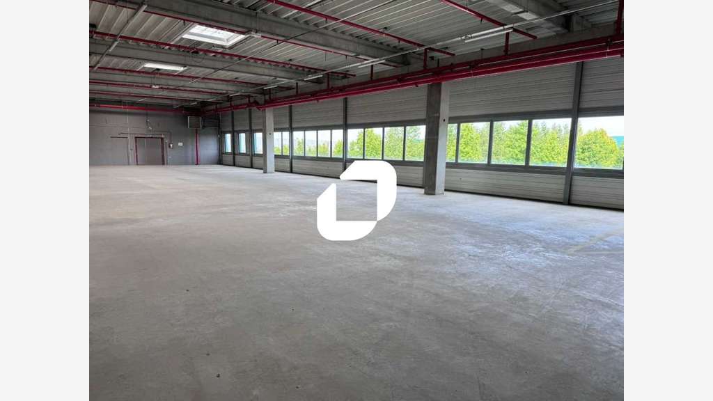 A louer Local d'activité 5810m² Lauwin planque