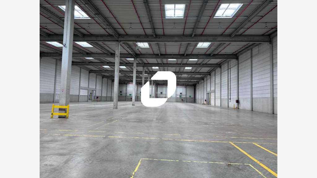 A louer Local d'activité 5697m² Lauwin planque