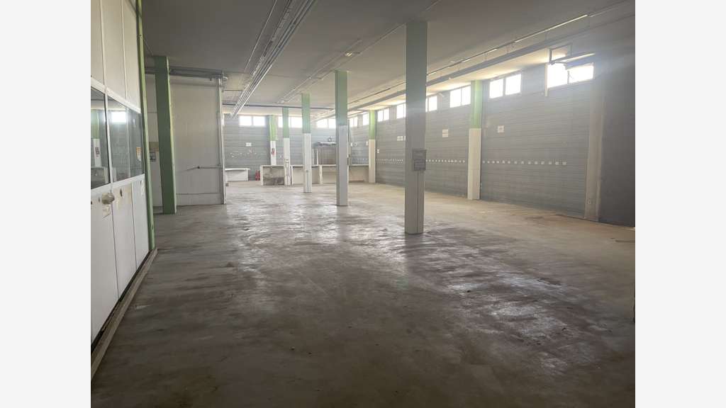 Rare à louer bâtiment indépendant 2900m² au Cannet