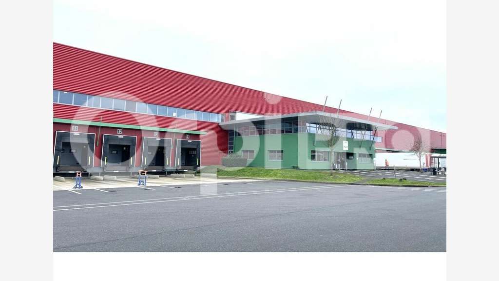 LE COUDRAY-MONTCEAUX - ENTREPÔT LOGISTIQUE à louer