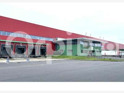 Entrepôt de 12508m² à louer le Coudray-Montceaux