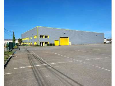 Location Locaux d'activités - Entrepôts au Mans