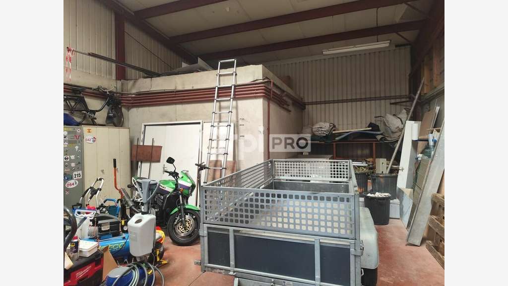 Local activité 229m² à louer au Palais-sur-Vienne