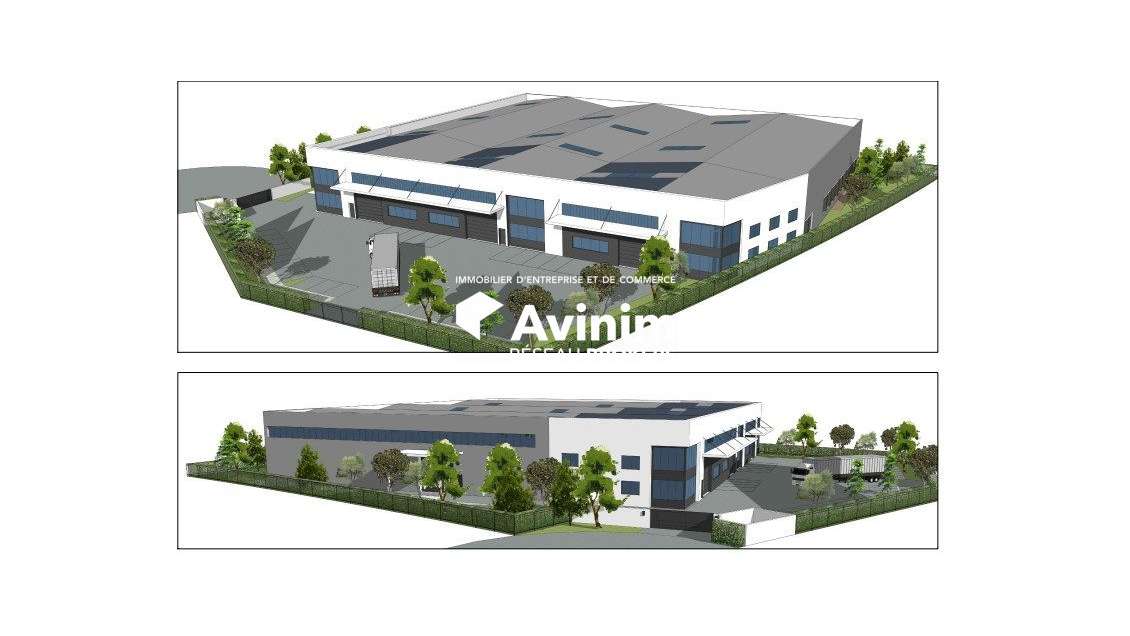 Local d'activité neuf - 2700 m² divisibles - Le P