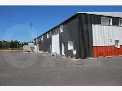 Location bâtiment d'activités 944 m²