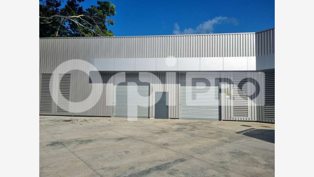 Entrepôt 175m² à louer Les Abymes Petit-Pérou