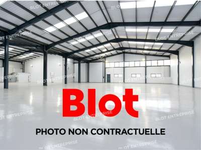 Location Locaux d'activités - Entrepôts aux Sorinières