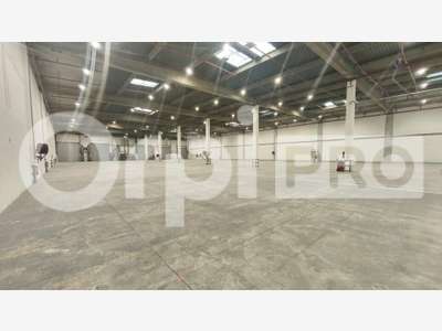 Cellules de logistique 8577m² à louer à Courtabœuf