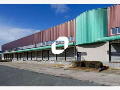 A louer Local d'activité 3908m² Lieusaint