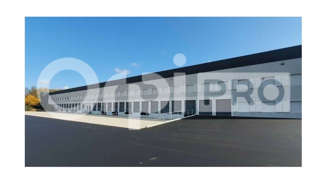 A louer entrepôt logistique 8018m² à Lisses