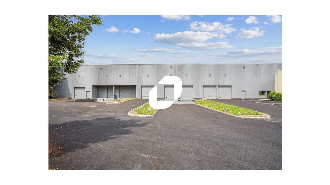 A louer Local d'activité 4542m² Lisses