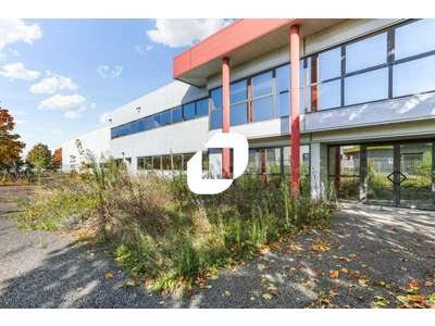 Location Locaux d'activités - Entrepôts à Lisses