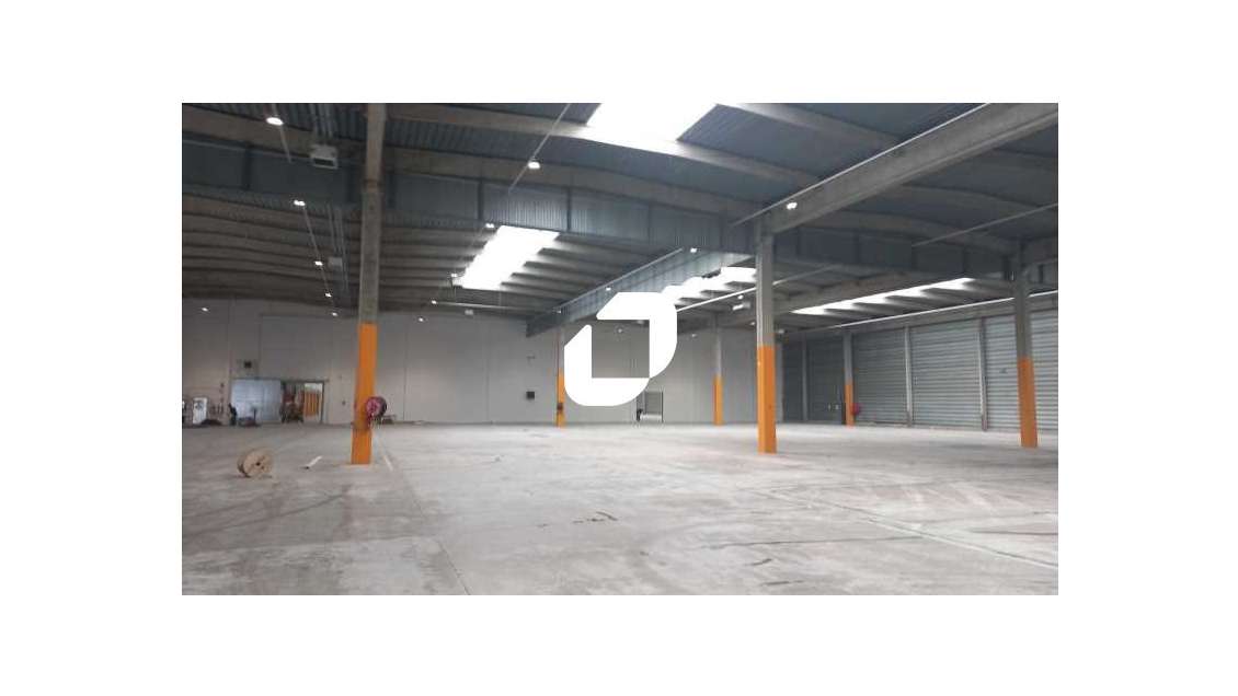 A louer Local d'activité 8018m² Lisses