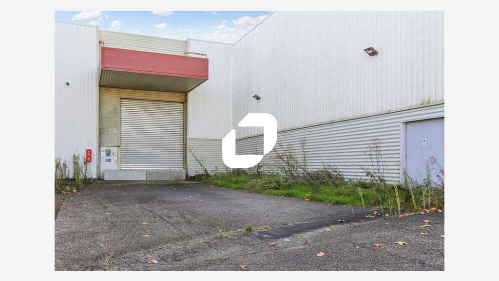 A louer Local d'activité 2816m² Lisses