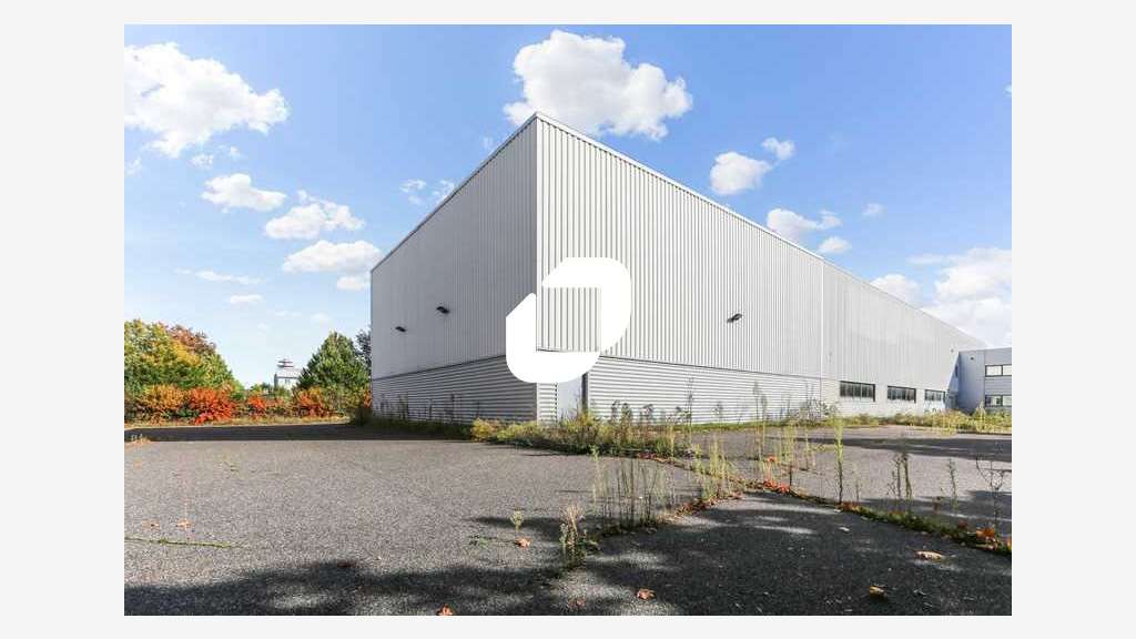 A louer Local d'activité 2816m² Lisses