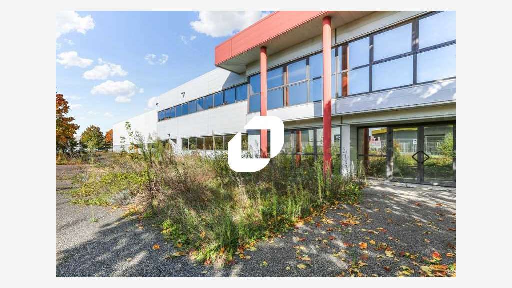 A louer Local d'activité 2816m² Lisses