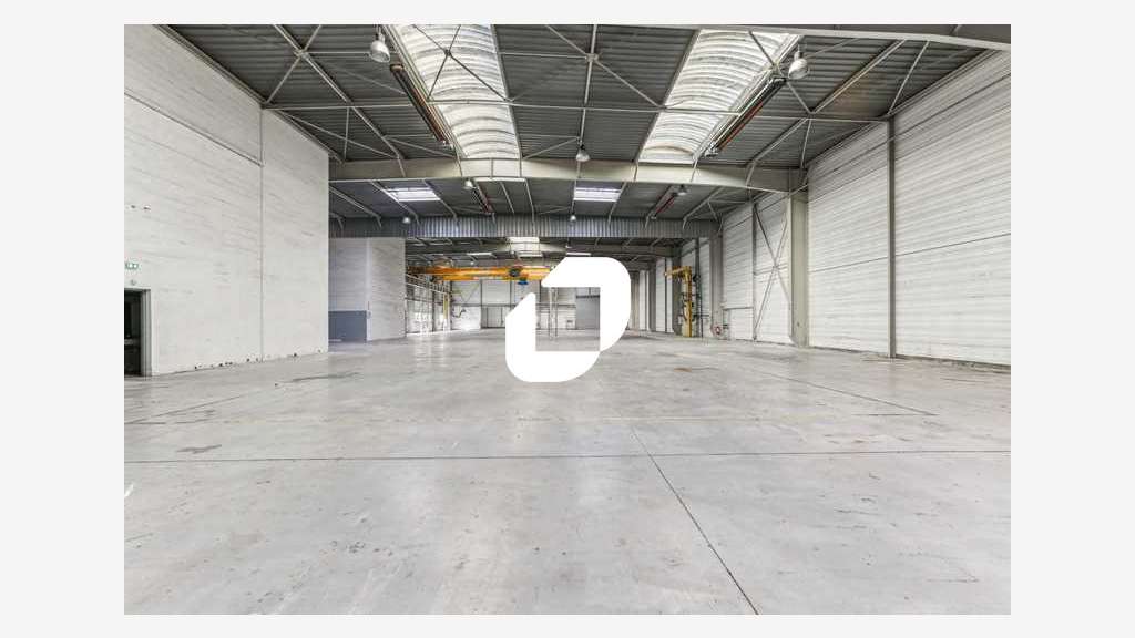 A louer Local d'activité 2816m² Lisses