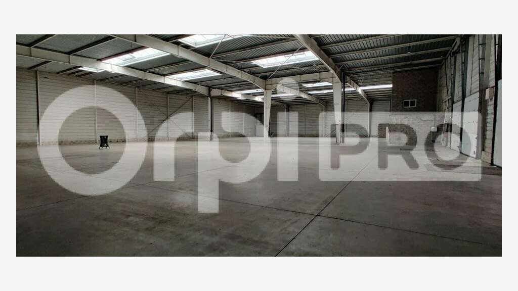 A louer - local d'activités 4542 m² - Lisses