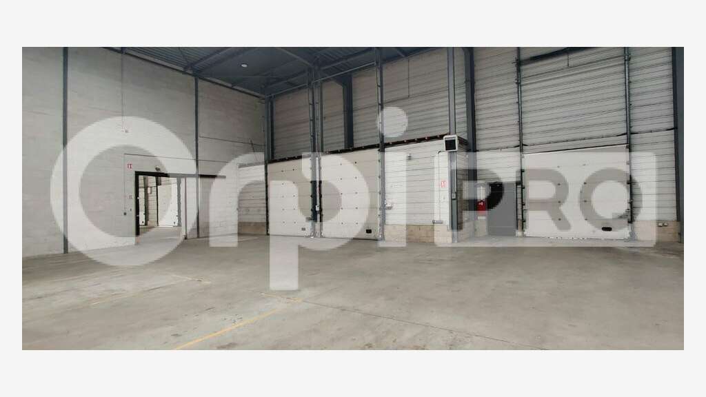 A louer - local d'activités 4542 m² - Lisses